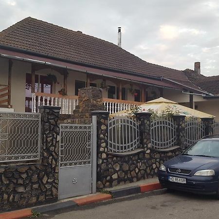 Apartamento Casa Leo Haţeg Exterior foto
