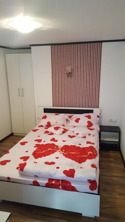 Apartamento Casa Leo Haţeg Exterior foto